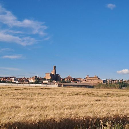 Apto Rural Alesves Esencia De Bardenas Navarra Villafranca Bagian luar foto